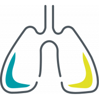 Ein Symbolbild für die Fachrichtung Pneumologie